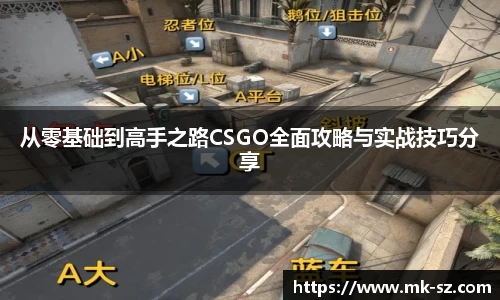 从零基础到高手之路CSGO全面攻略与实战技巧分享