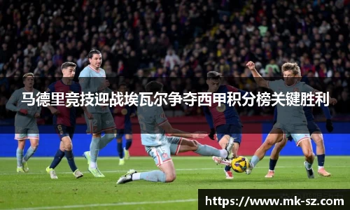 3377体育官网