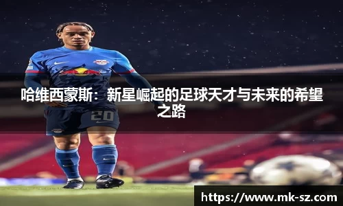 3377体育官网入口直播