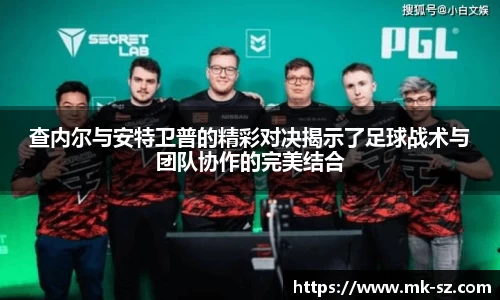 3377体育官网入口直播