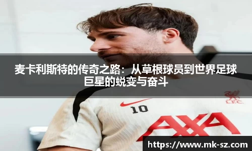 3377体育官网入口直播