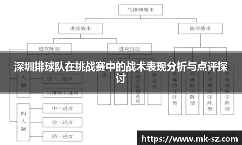 深圳排球队在挑战赛中的战术表现分析与点评探讨