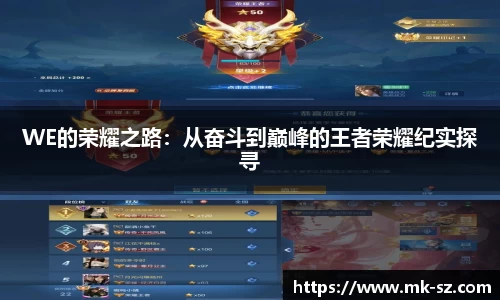 WE的荣耀之路：从奋斗到巅峰的王者荣耀纪实探寻