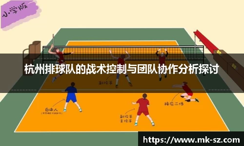 杭州排球队的战术控制与团队协作分析探讨